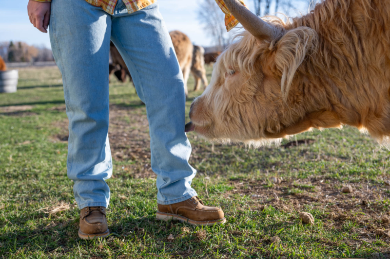 The Staple Denim Work Jean Since 1947: Wrangler Cowboy Cut Slim Fit Jean Review